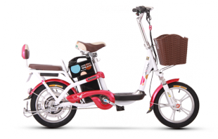 愛(ài)瑪米樂(lè)電動(dòng)自行車產(chǎn)品信息概覽 價(jià)格與制造商解析